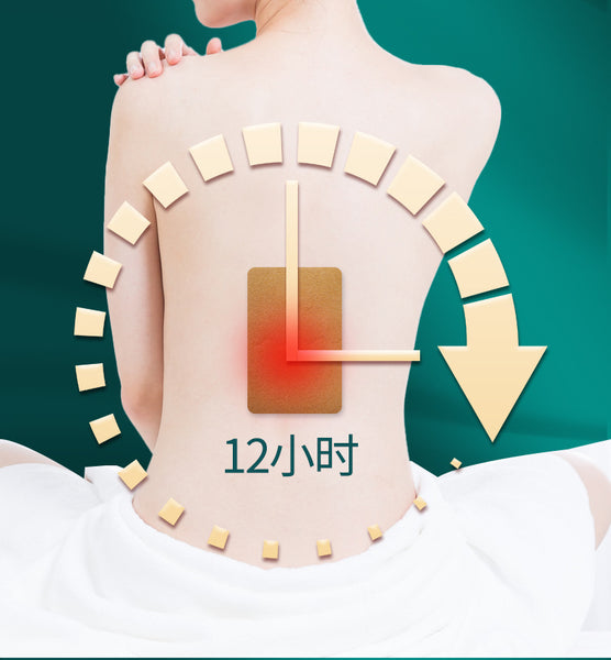 Turmeric Panax notoginseng Patch 20 pcs/box  姜黄三七贴
