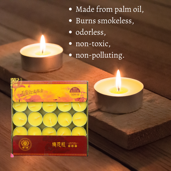 Eight hours Butter Oil Light -50 pcs  8小时酥油灯