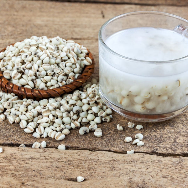 Organic Job's Tear Barley 450g 有机薏米