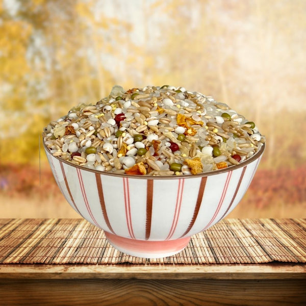 Pumpkin Oatmeal Barley Porridge 500g 南瓜燕麦意米粥