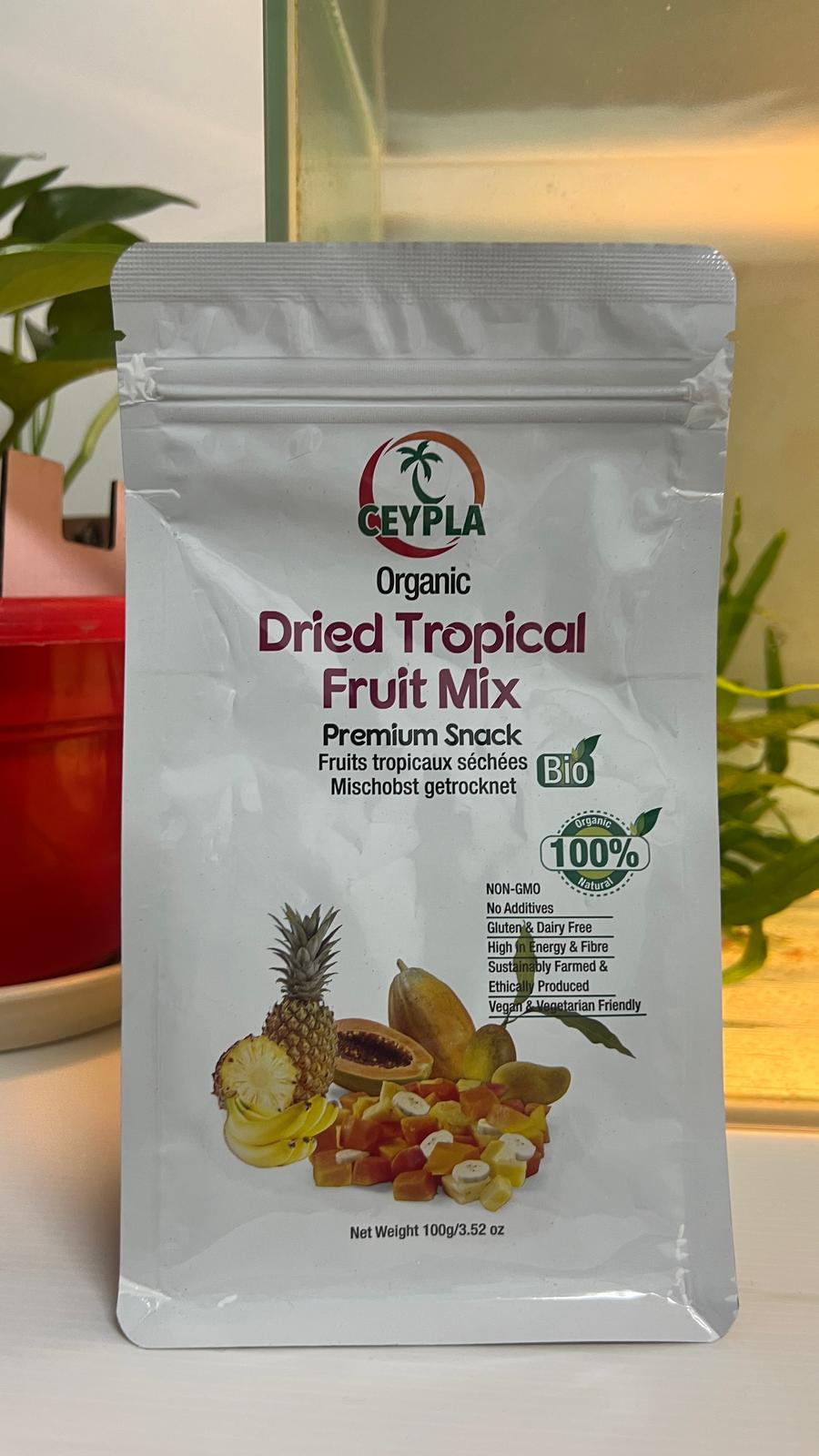 🥭 [SG Ready Stock] ORG DRIED TROPICAL MIX FRUIT 100 g Pouch 有机综合水果干 100克袋装 – Healthy Natural Snack 🍍