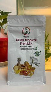 🥭 [SG Ready Stock] ORG DRIED TROPICAL MIX FRUIT 100 g Pouch 有机综合水果干 100克袋装 – Healthy Natural Snack 🍍