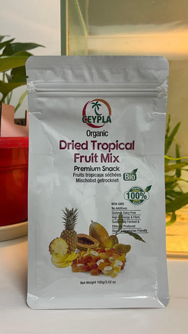 🥭 [SG Ready Stock] ORG DRIED TROPICAL MIX FRUIT 100 g Pouch 有机综合水果干 100克袋装 – Healthy Natural Snack 🍍
