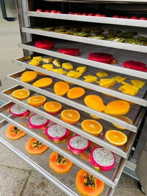 🥭 [SG Ready Stock] ORG DRIED TROPICAL MIX FRUIT 100 g Pouch 有机综合水果干 100克袋装 – Healthy Natural Snack 🍍