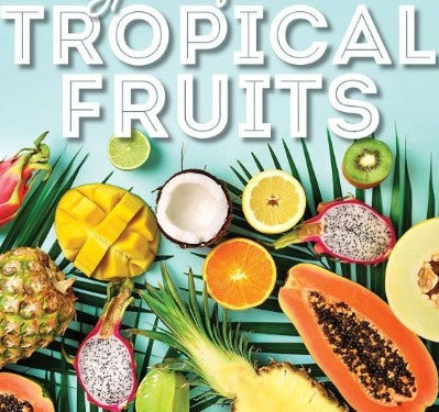 🥭 [SG Ready Stock] ORG DRIED TROPICAL MIX FRUIT 100 g Pouch 有机综合水果干 100克袋装 – Healthy Natural Snack 🍍
