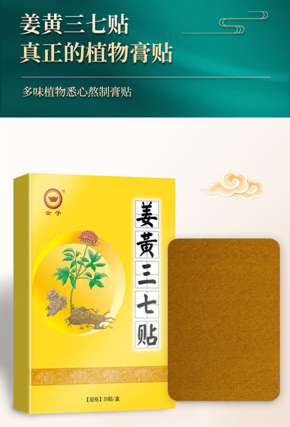 Turmeric Panax notoginseng Patch 20 pcs/box  姜黄三七贴